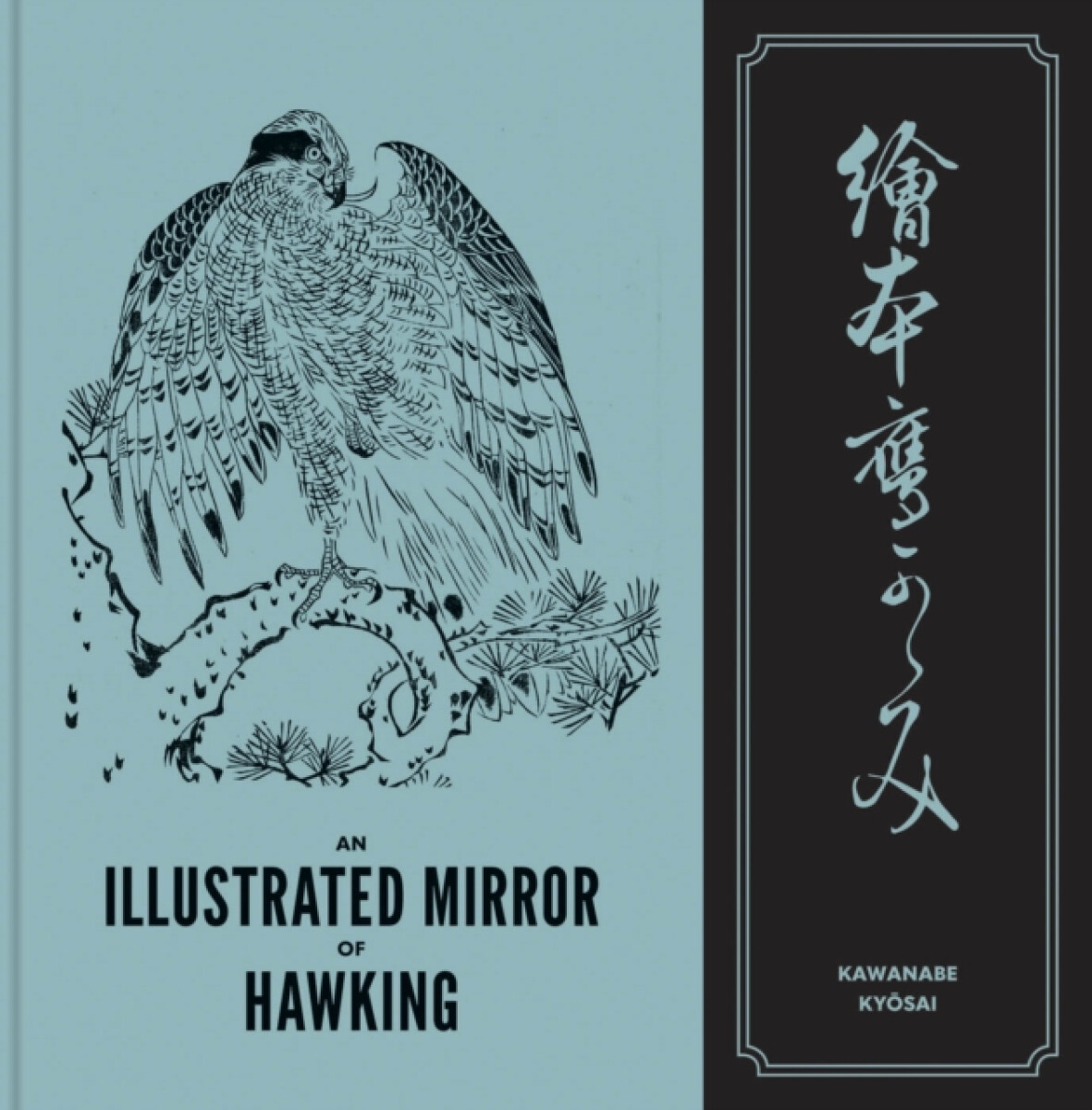Kniha Illustrated Mirror of Hawking