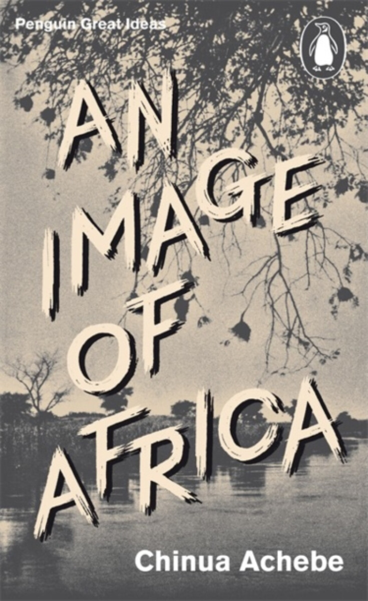 Kniha Image of Africa