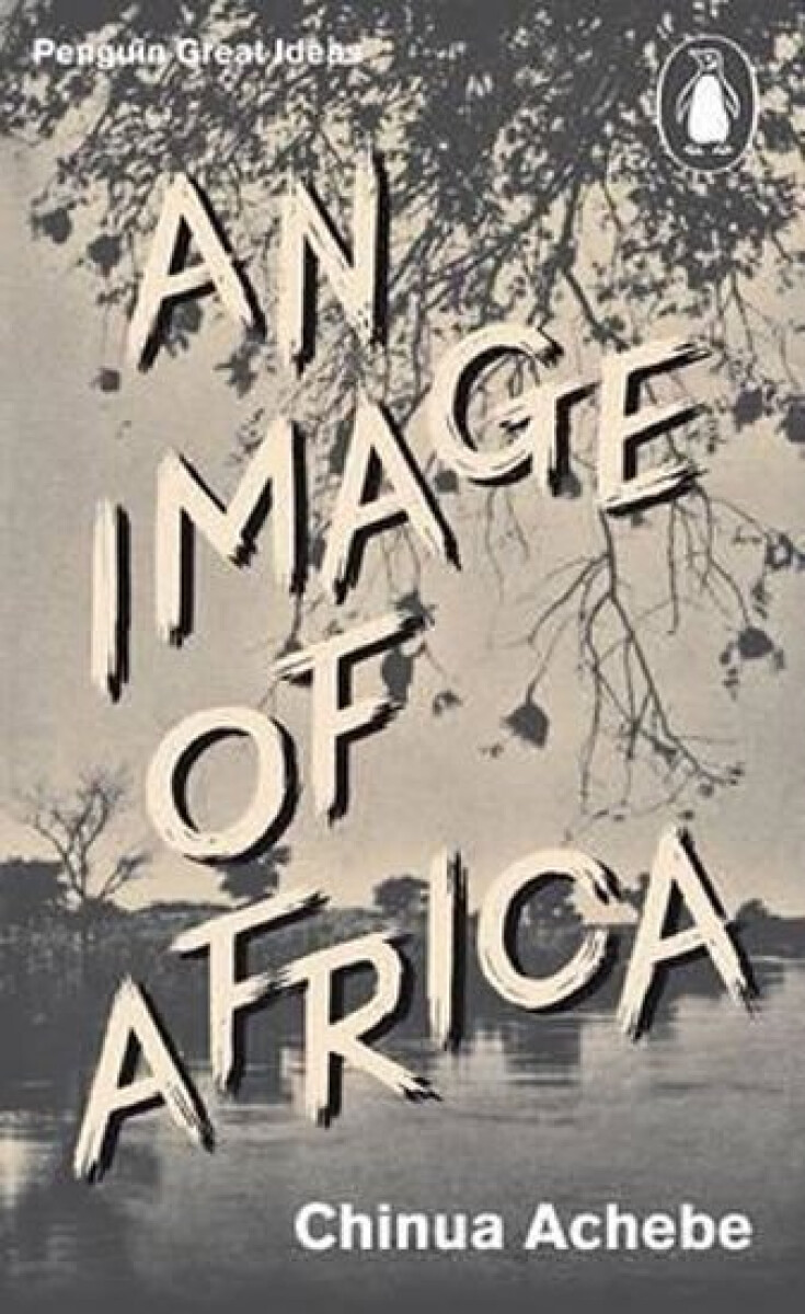 Kniha Image of Africa