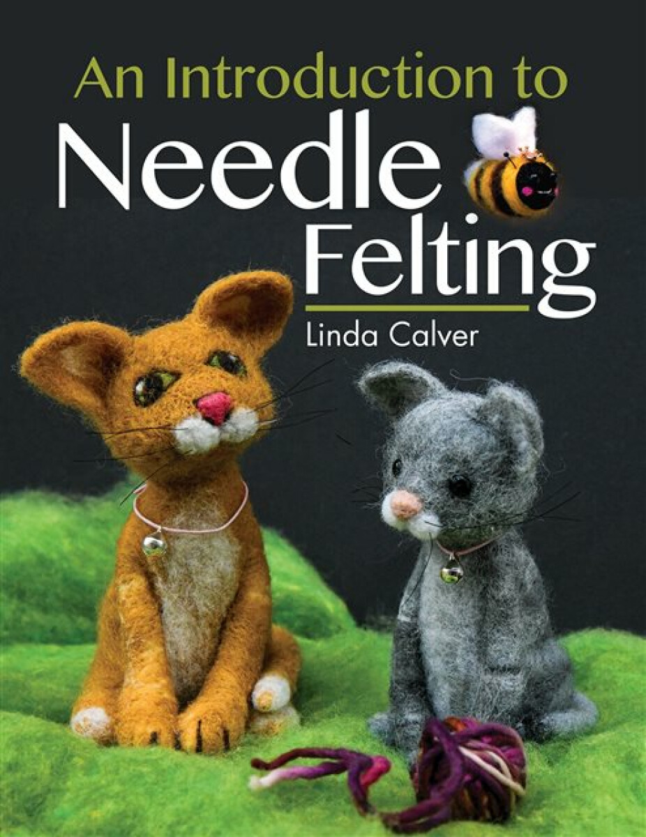Kniha Introduction to Needle Felting