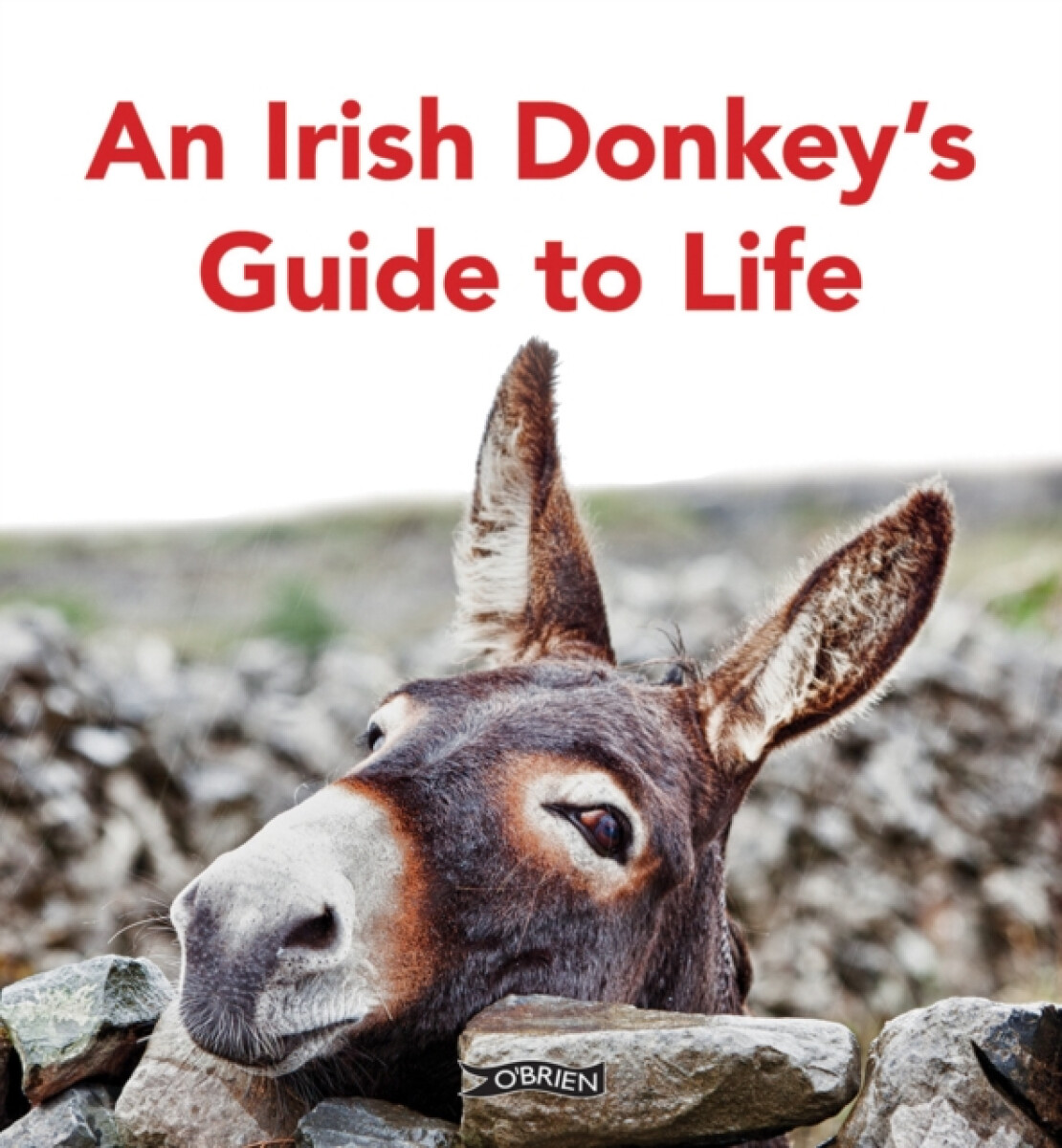Kniha An Irish Donkeyâ€™s Guide to Life