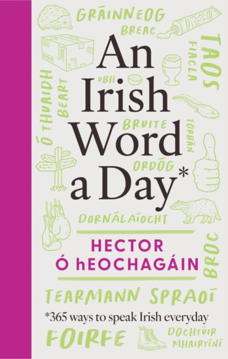 Kniha Irish Word a Day