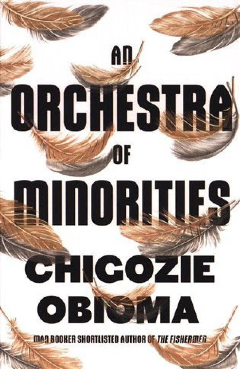 Kniha An Orchestra of Minorities