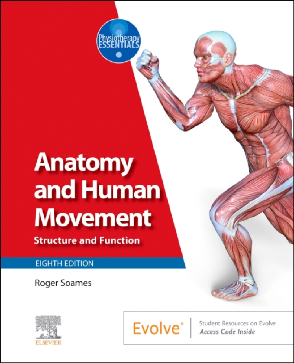 Kniha Anatomy and Human Movement