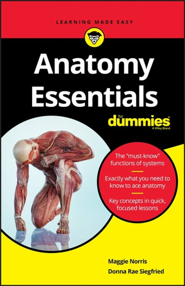 Kniha Anatomy Essentials For Dummies