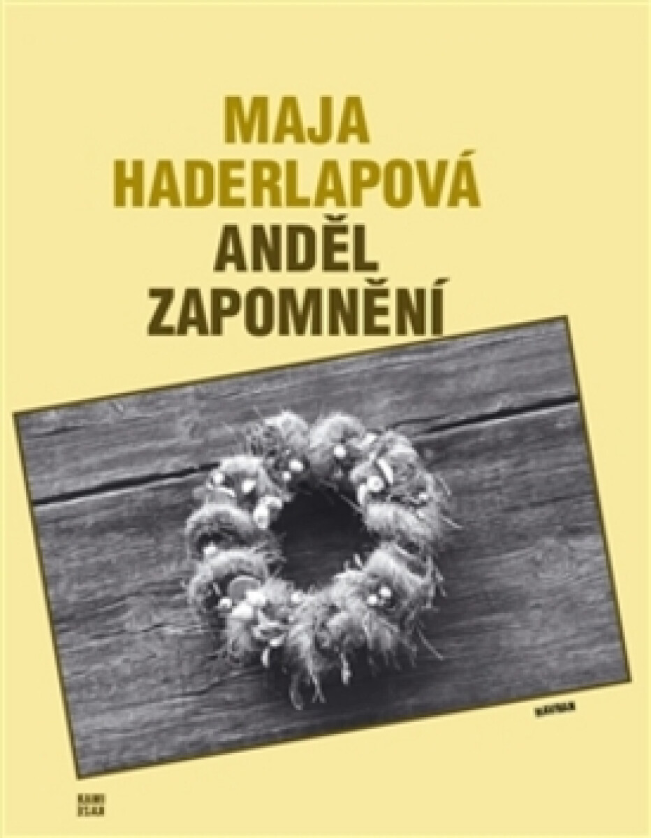 Kniha Anděl zapomnění