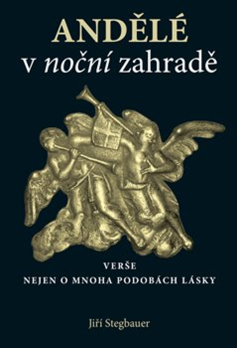 Kniha Andělé v noční zahradě