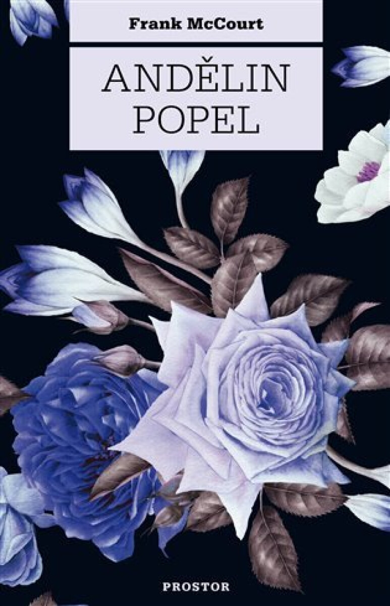 Levně Andělin popel - Frank McCourt