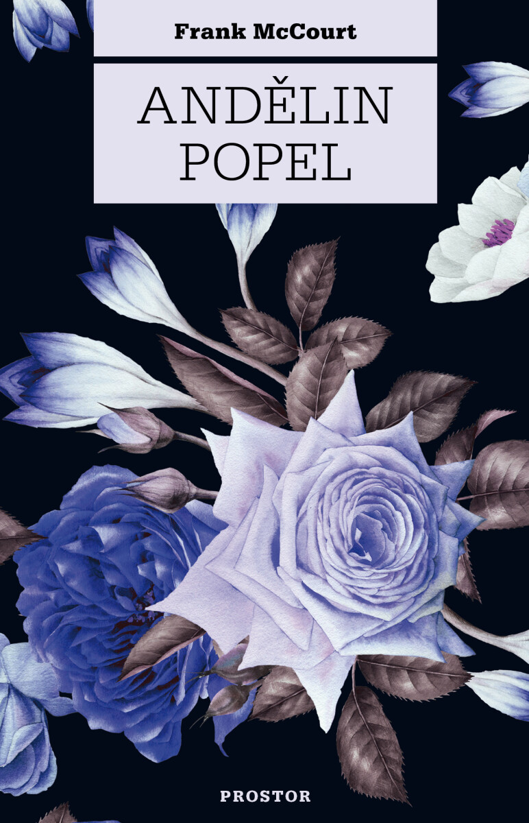 Andělin popel - Frank McCourt