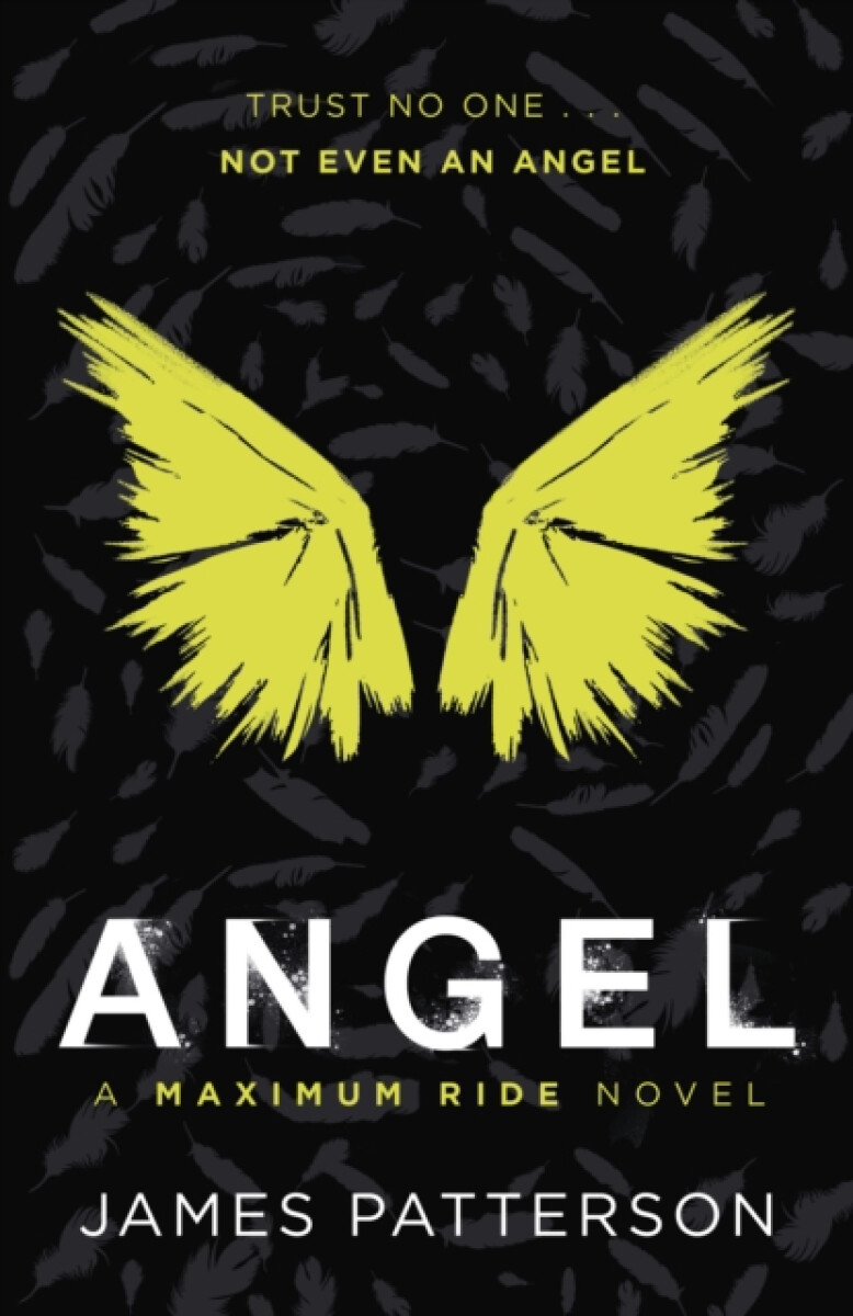 Kniha Maximum Ride: Angel