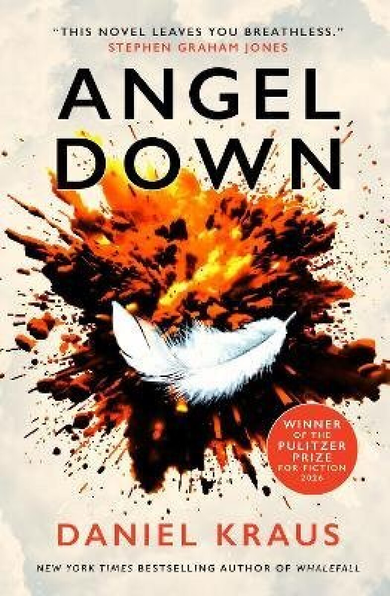 Kniha Angel Down
