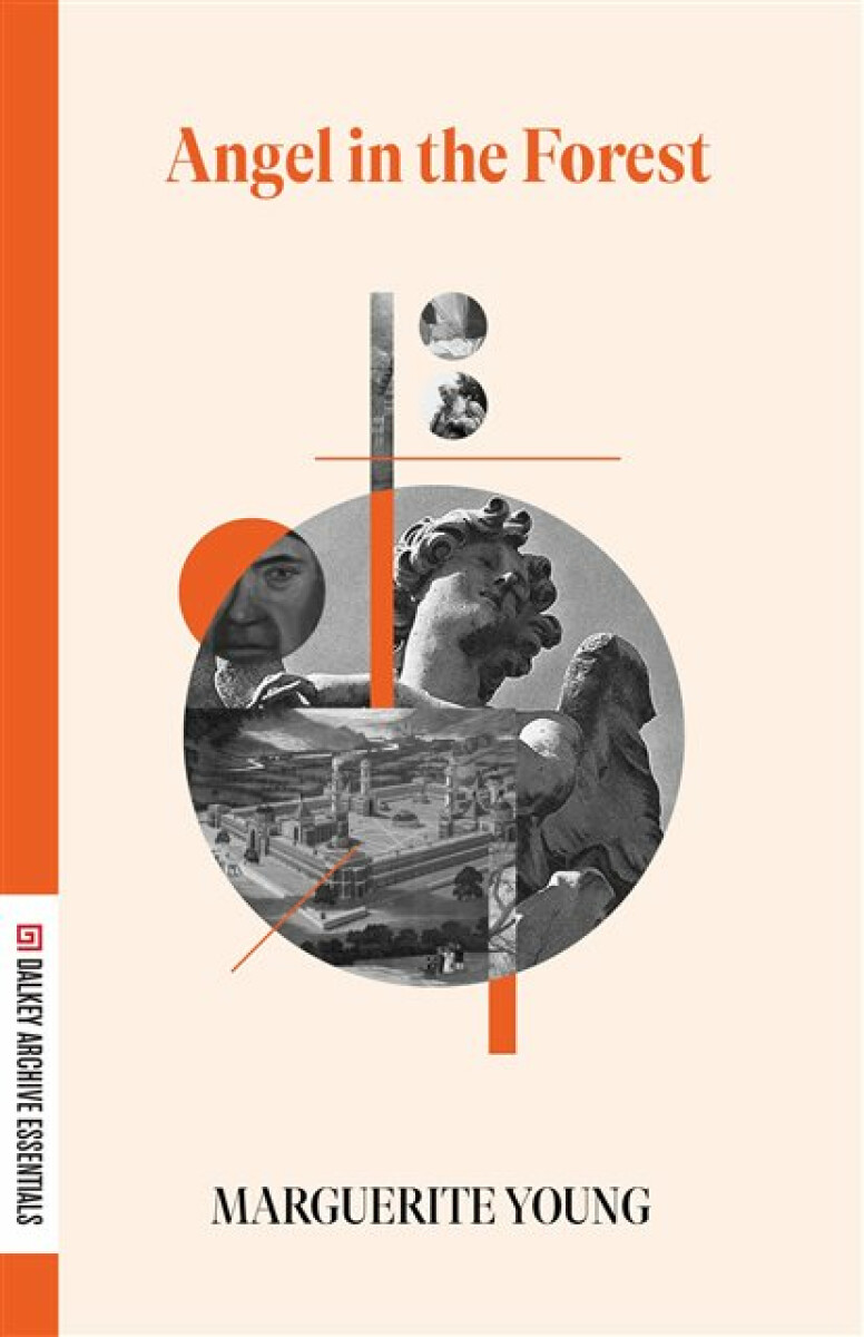 Kniha Angel in the Forest