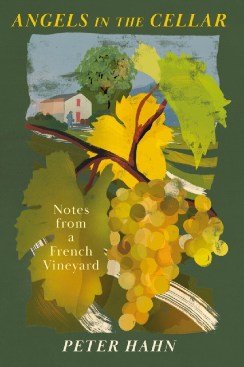 Kniha Angels in the Cellar