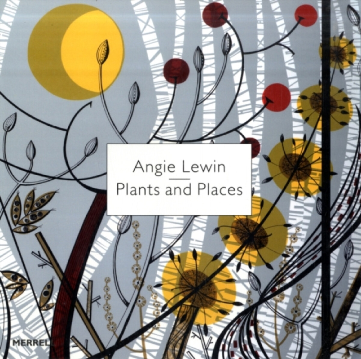 Kniha Angie Lewin: Plants and Places