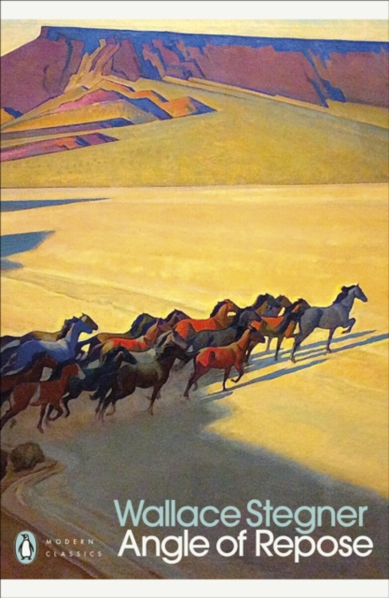 Kniha Angle of Repose