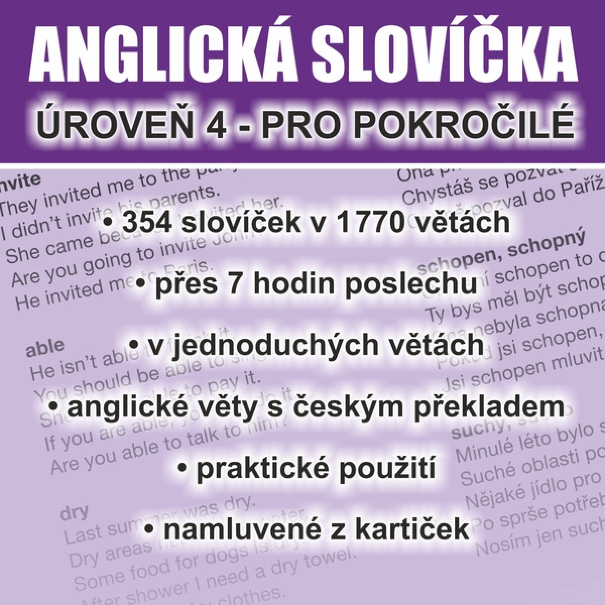Levně Anglická slovíčka - úroveň 4 pro pokročilé - Richard Ludvík - audiokniha