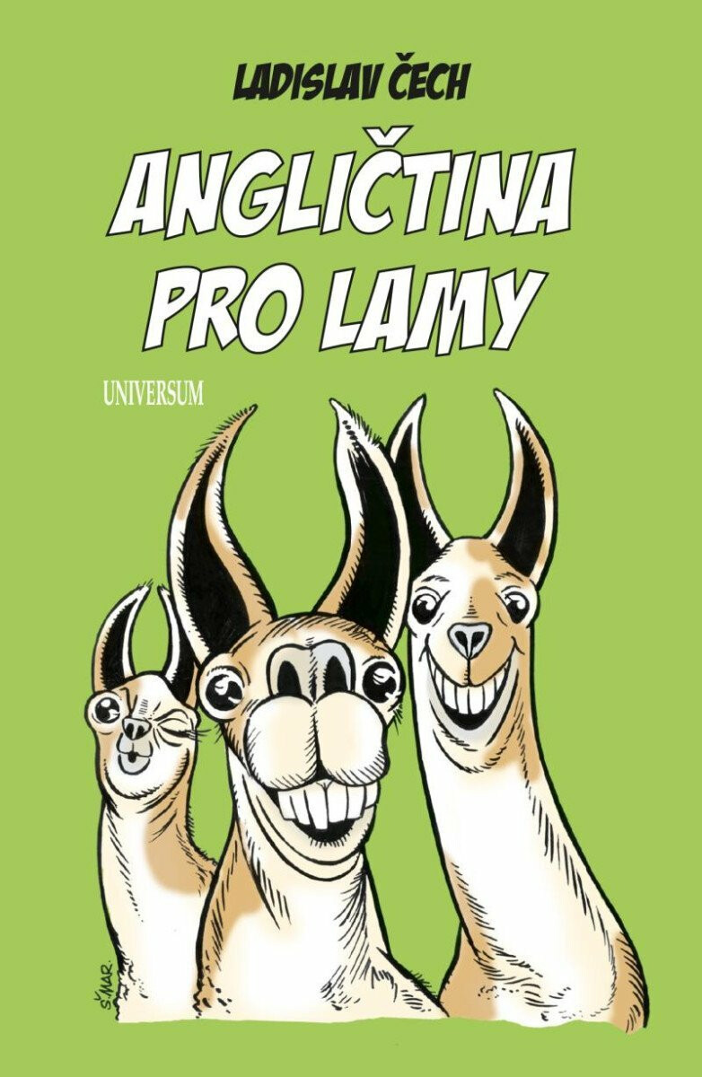 Kniha Angličtina pro lamy