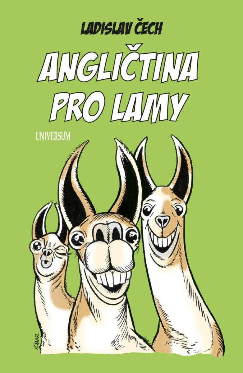 Kniha Angličtina pro lamy