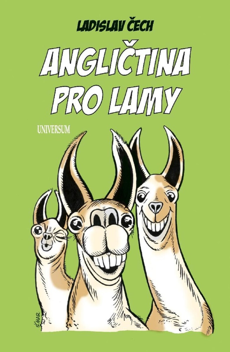 Levně Angličtina pro lamy - Ladislav Čech