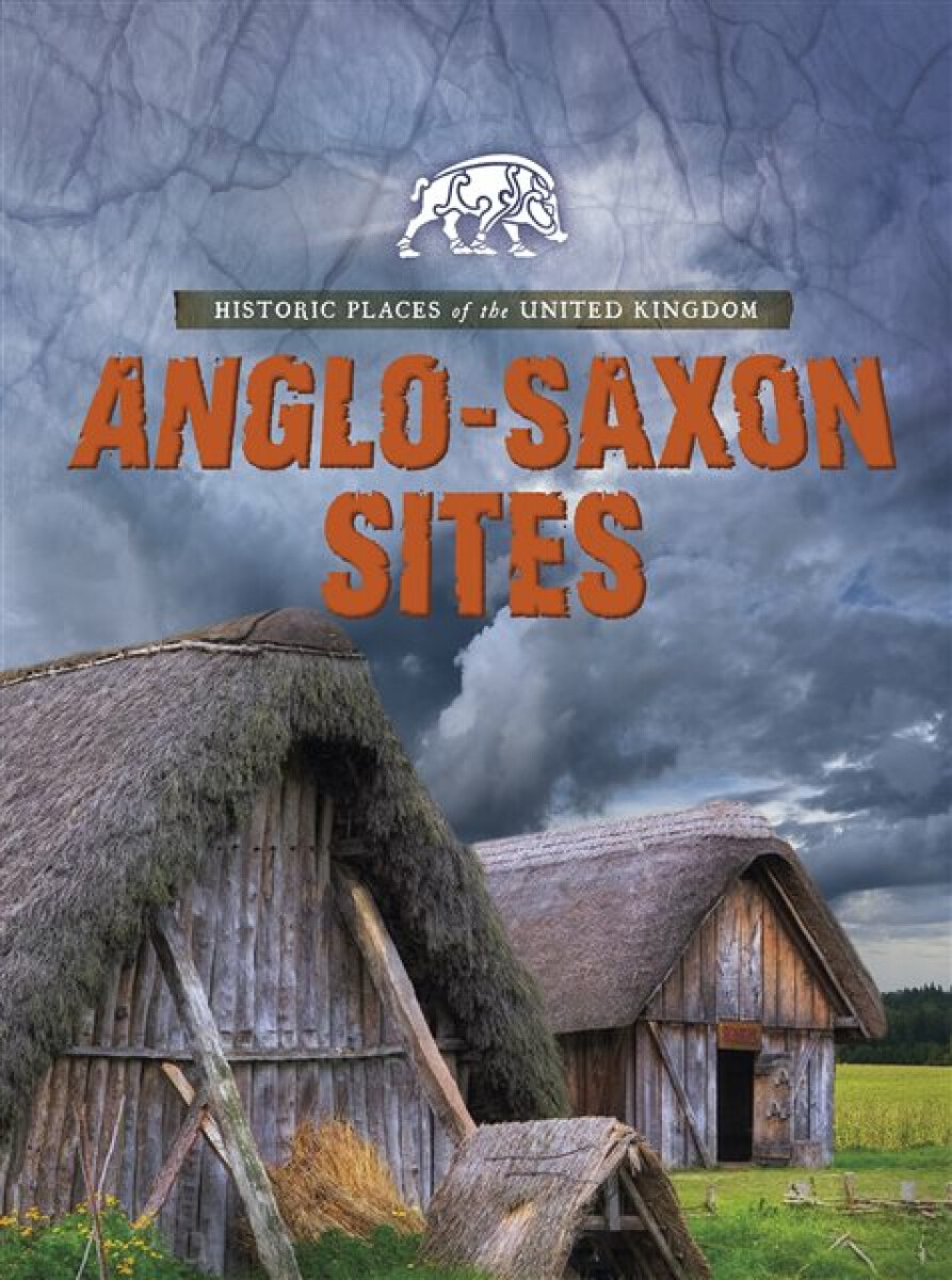 Kniha Anglo-Saxon Sites