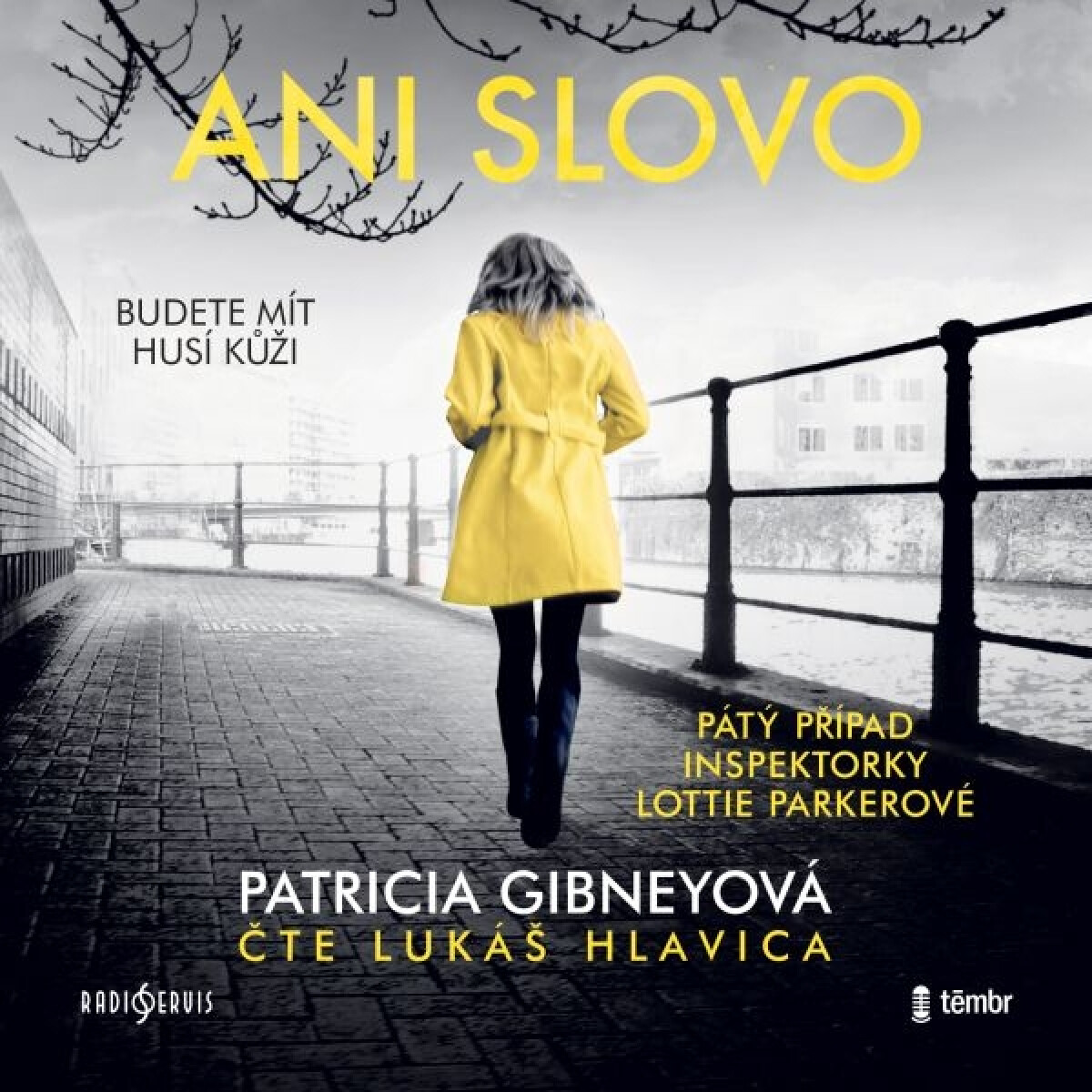 Levně Ani slovo - Patricia Gibneyová - audiokniha