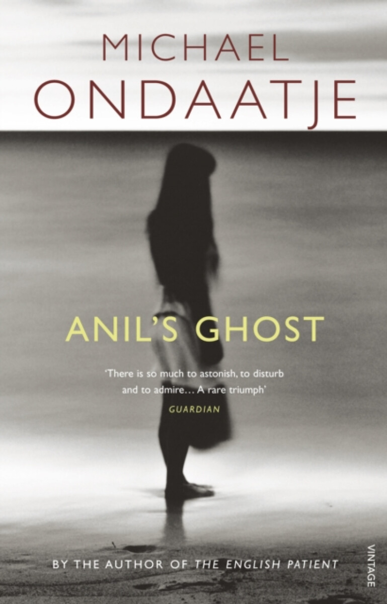 Kniha Anil's Ghost