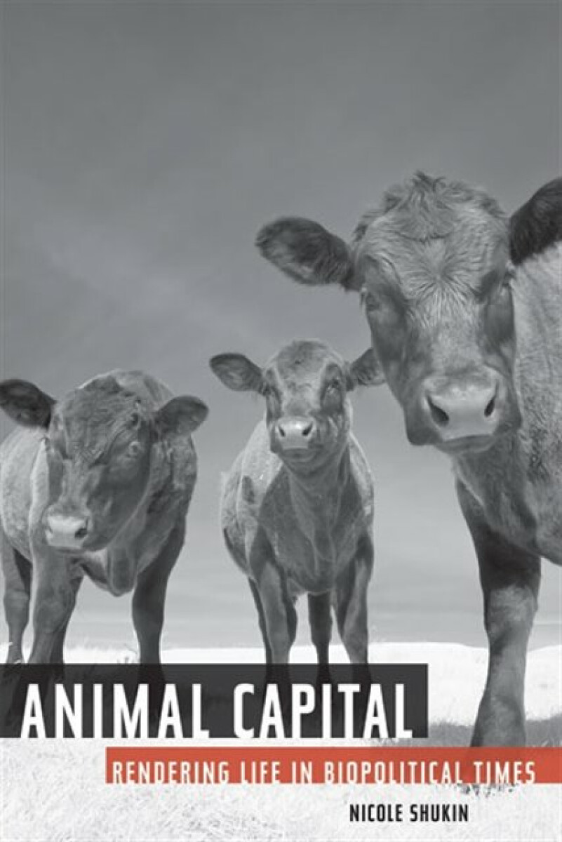 Kniha Animal Capital