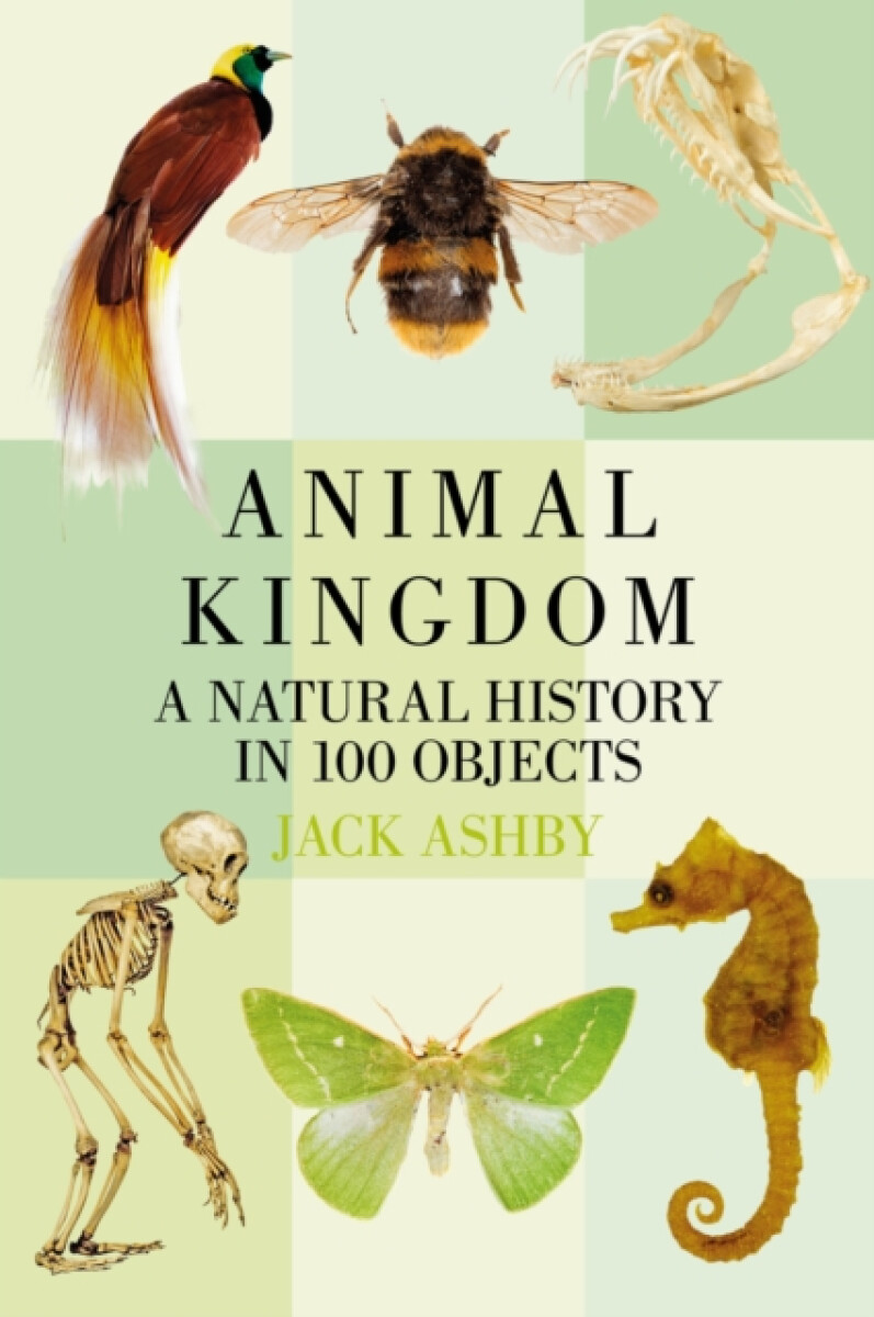 Kniha Animal Kingdom