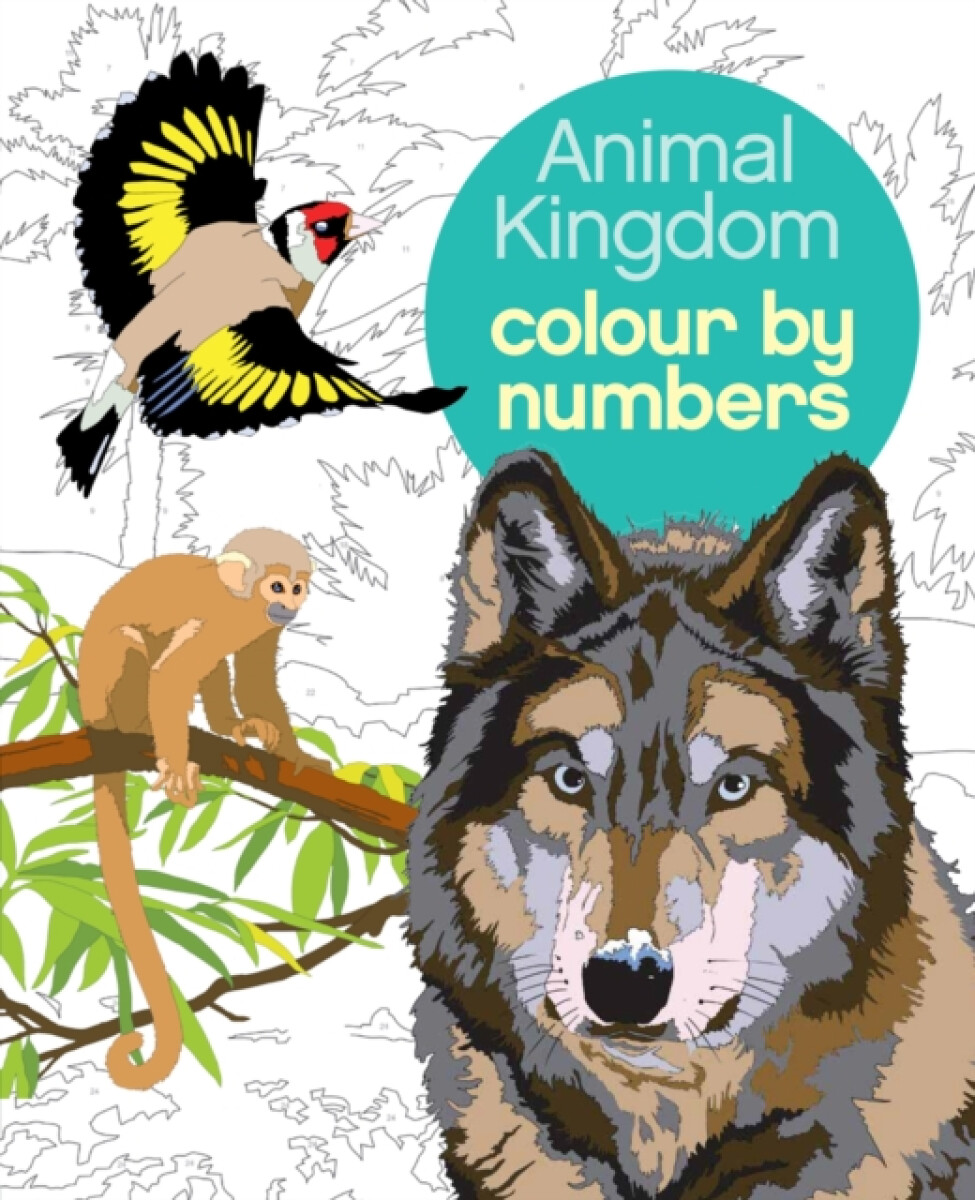 Kniha Animal Kingdom Colour by Numbers