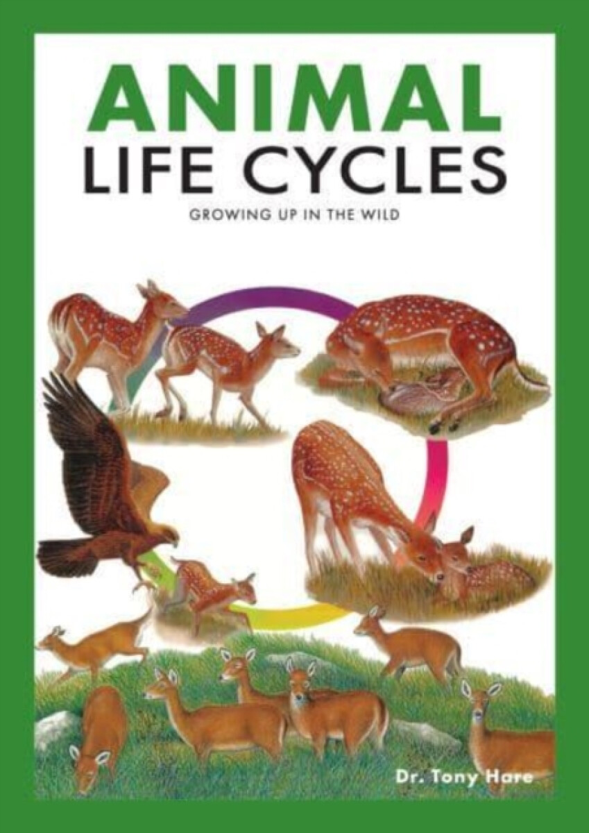 Kniha Animal Life Cycles