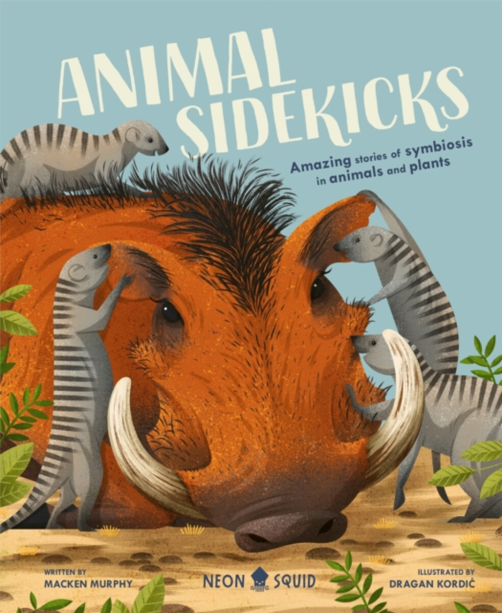Kniha Animal Sidekicks