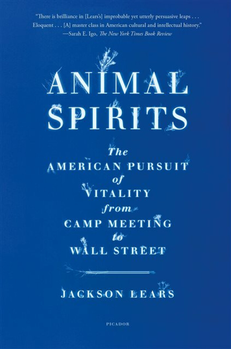 Kniha Animal Spirits