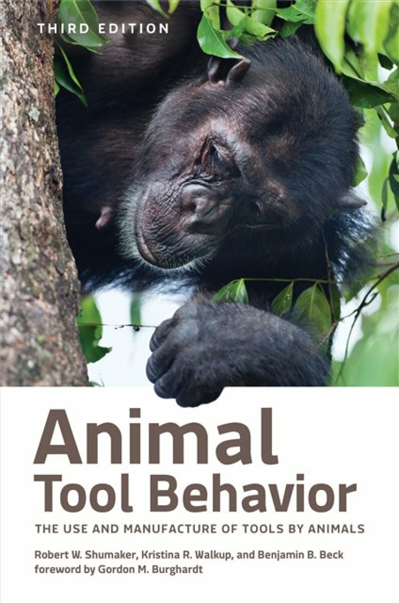 Kniha Animal Tool Behavior