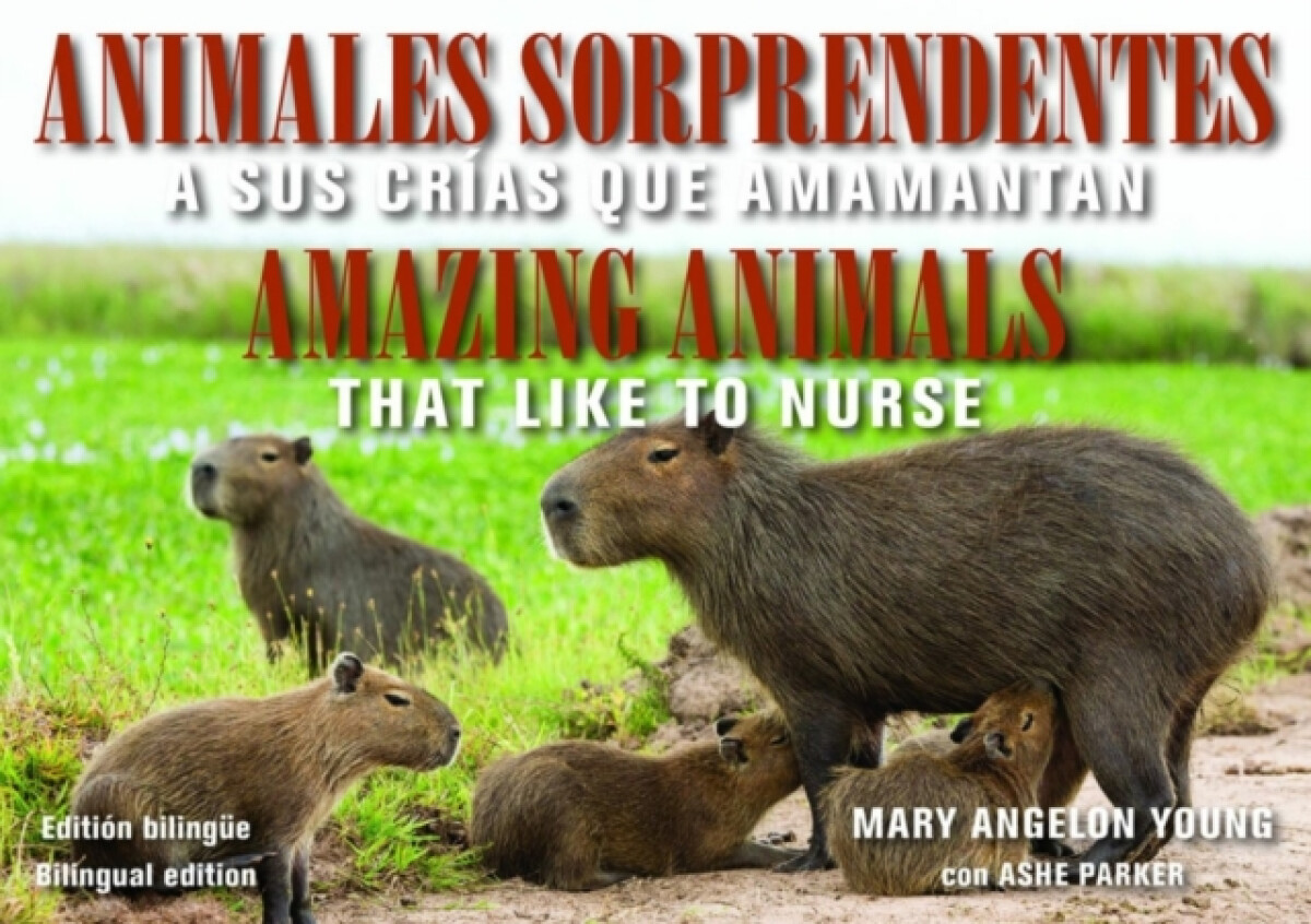 Kniha Animales Sorprendentes / Amazing Animals - English a Spanish Bilingual Edition