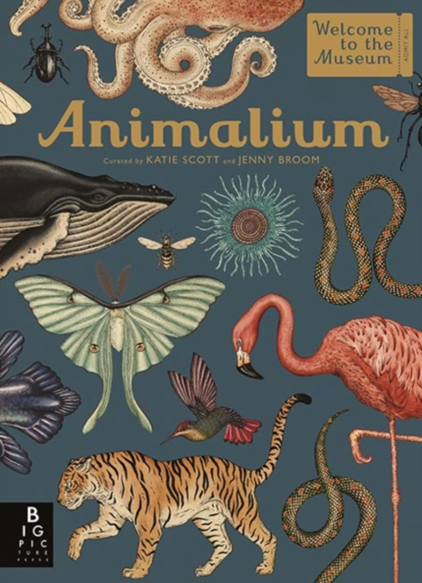 Kniha Animalium