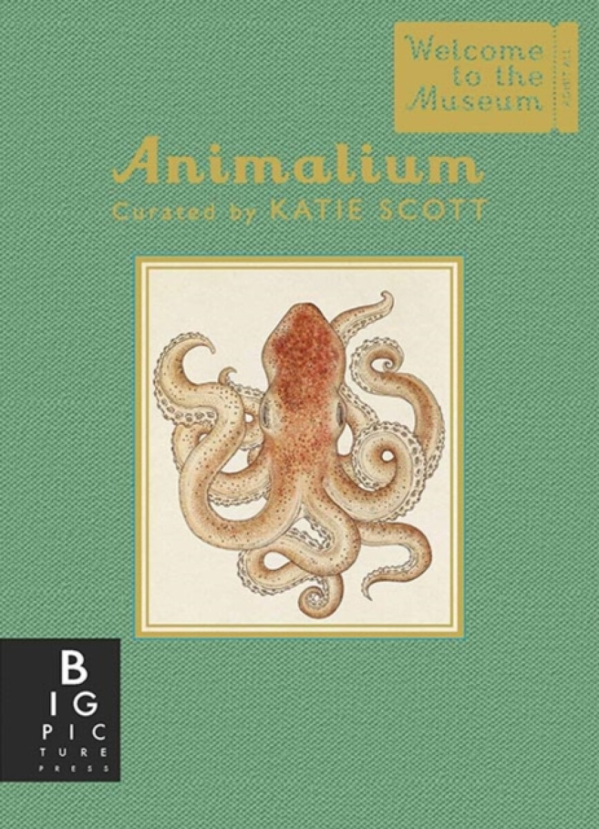 Kniha Animalium