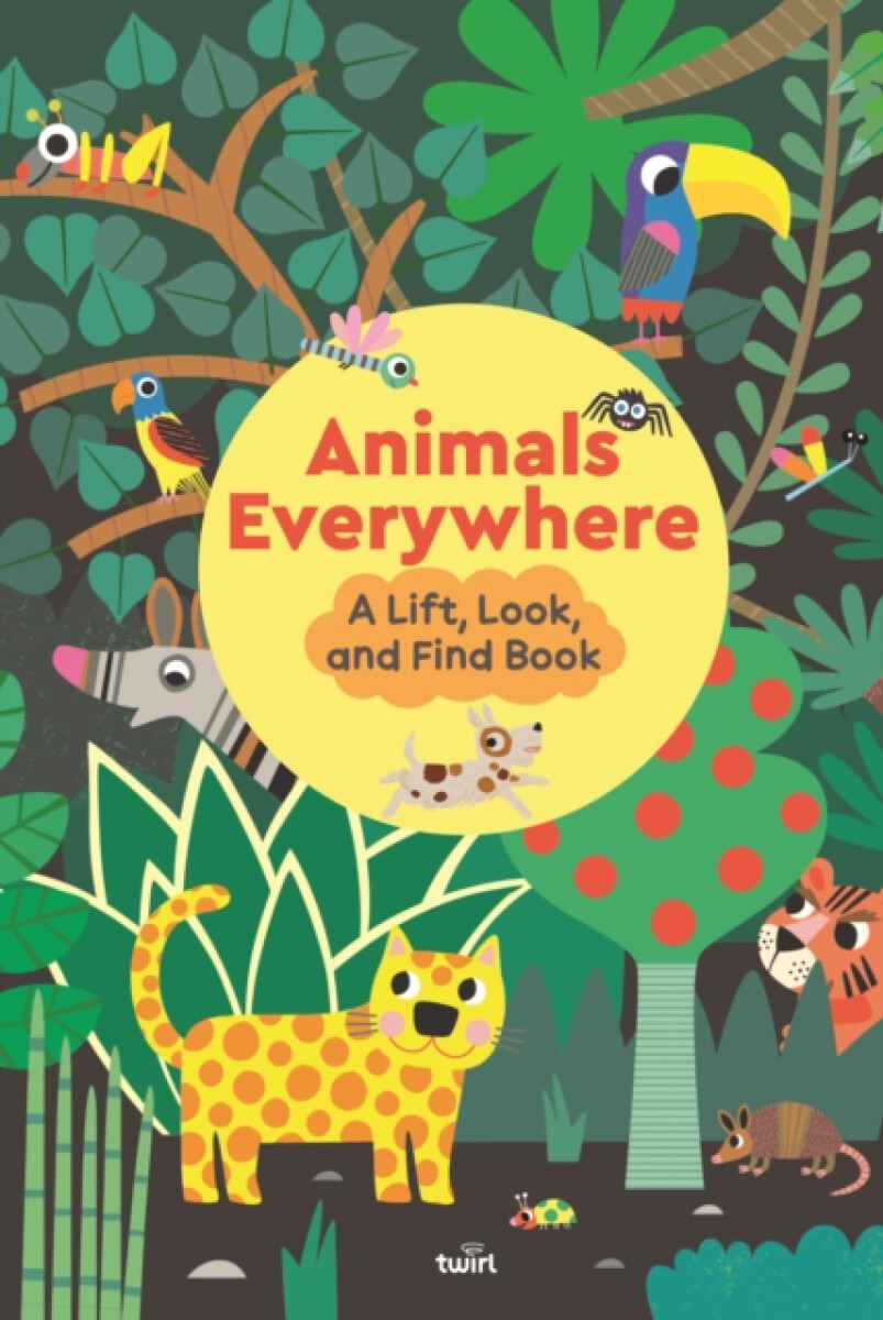 Kniha Animals Everywhere: A Lift, Look, and Find Book