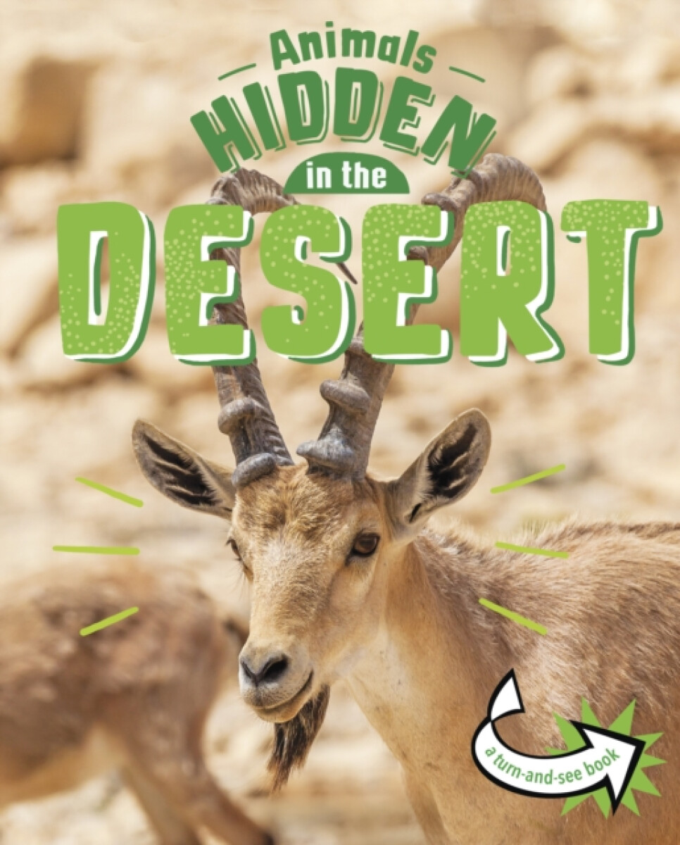 Kniha Animals Hidden in the Desert