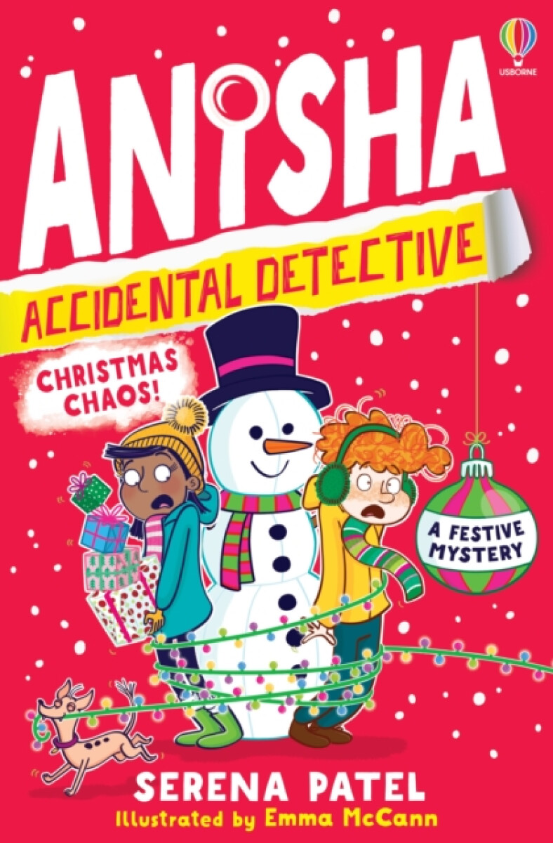 Kniha Anisha, Accidental Detective: Christmas Chaos