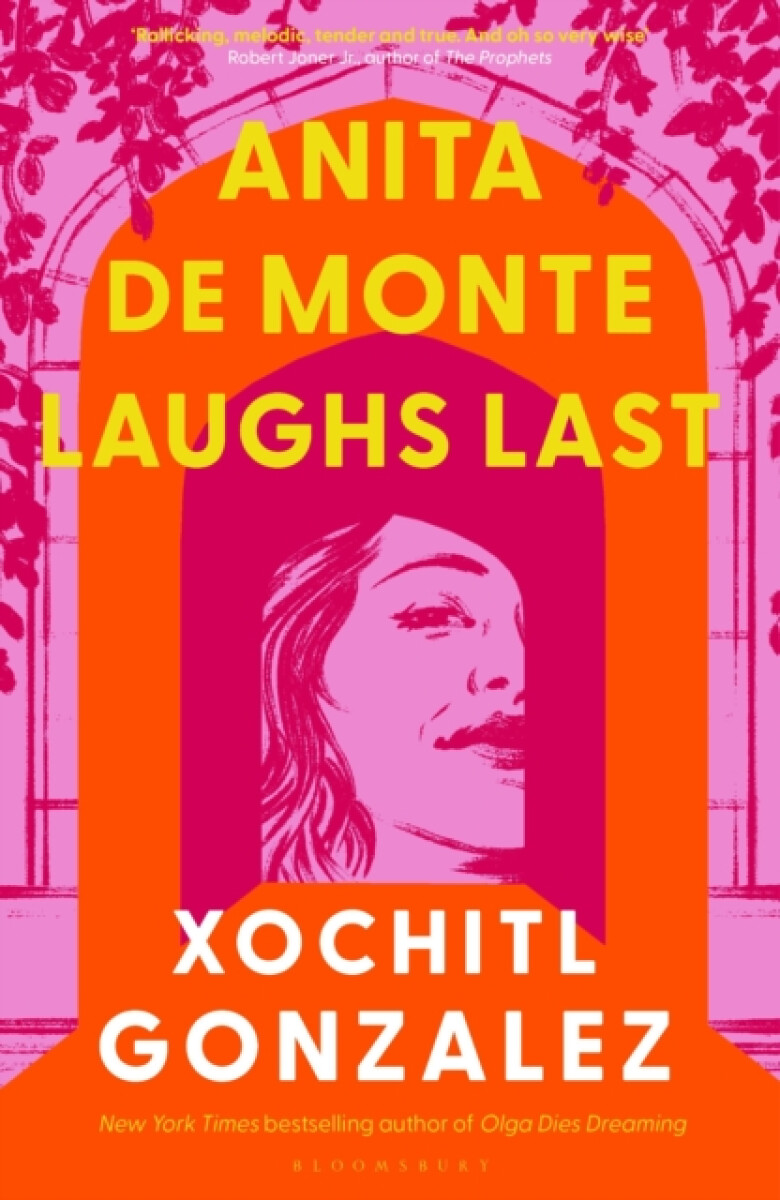 Kniha Anita de Monte Laughs Last