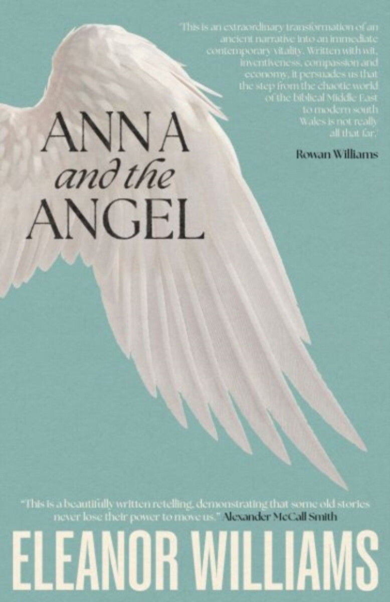 Kniha Anna and the Angel