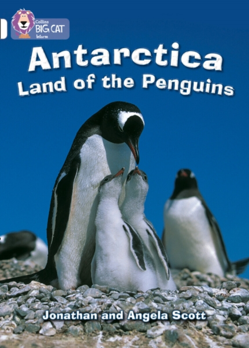 Kniha Antarctica: Land of the Penguins