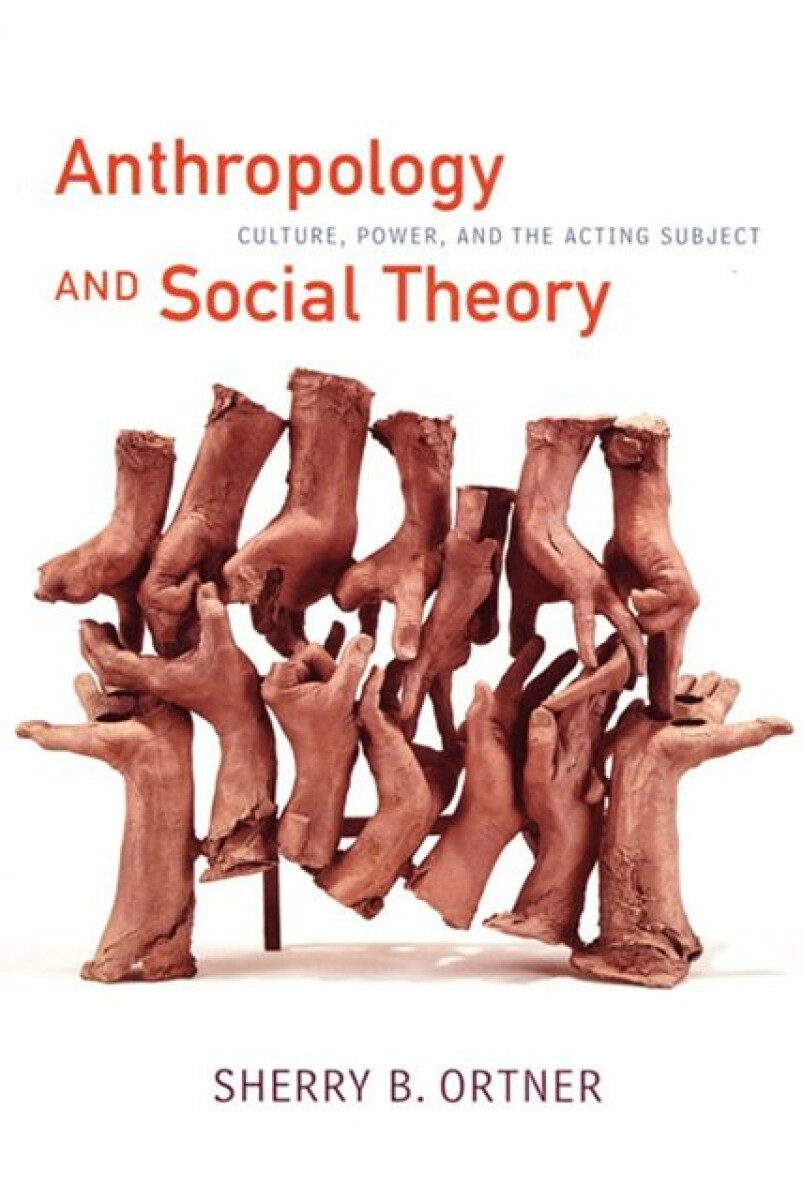 Kniha Anthropology and Social Theory