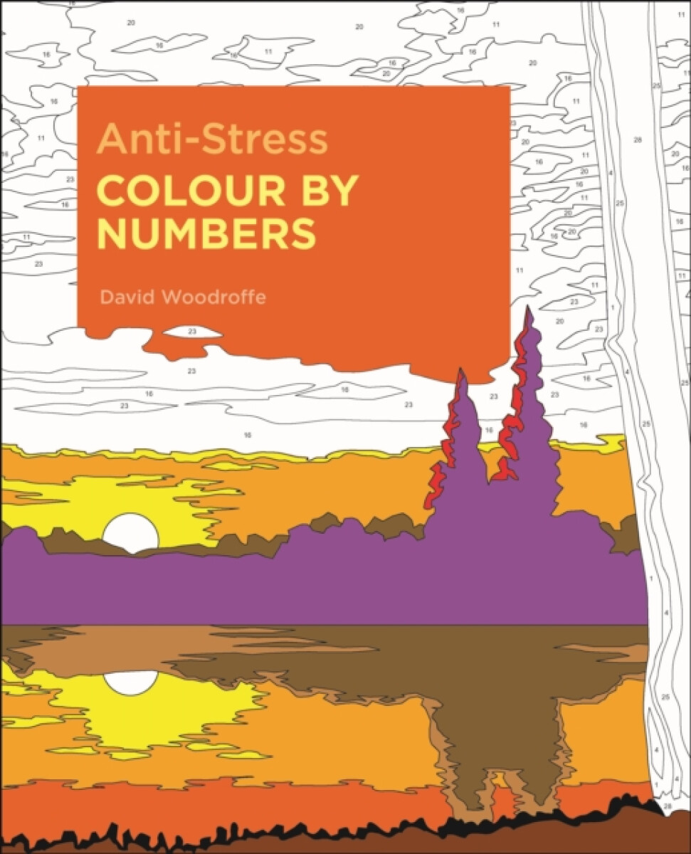 Kniha Anti-Stress Colour by Numbers