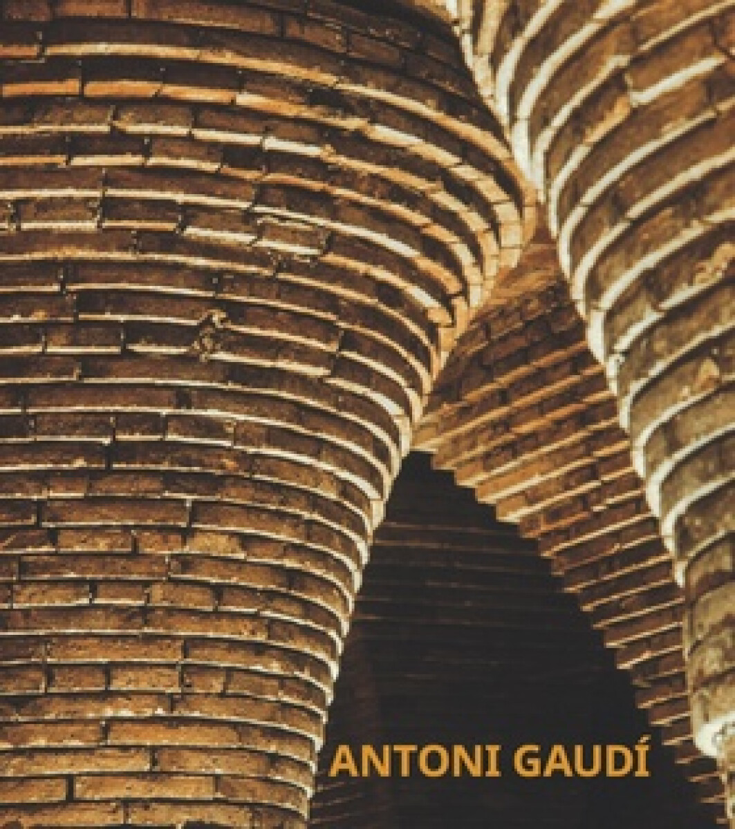 Kniha Gaudí (posterbook)