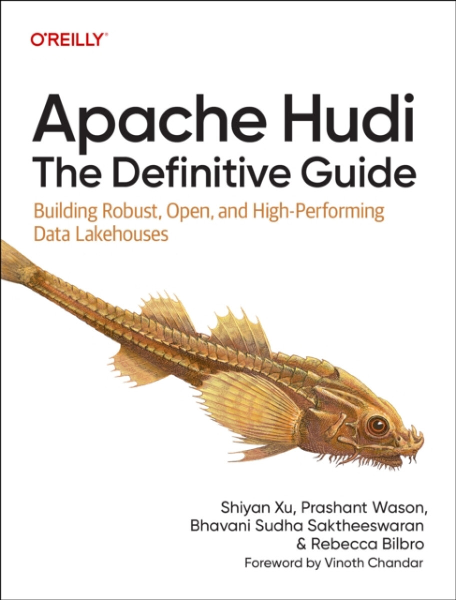 Kniha Apache Hudi - The Definitive Guide