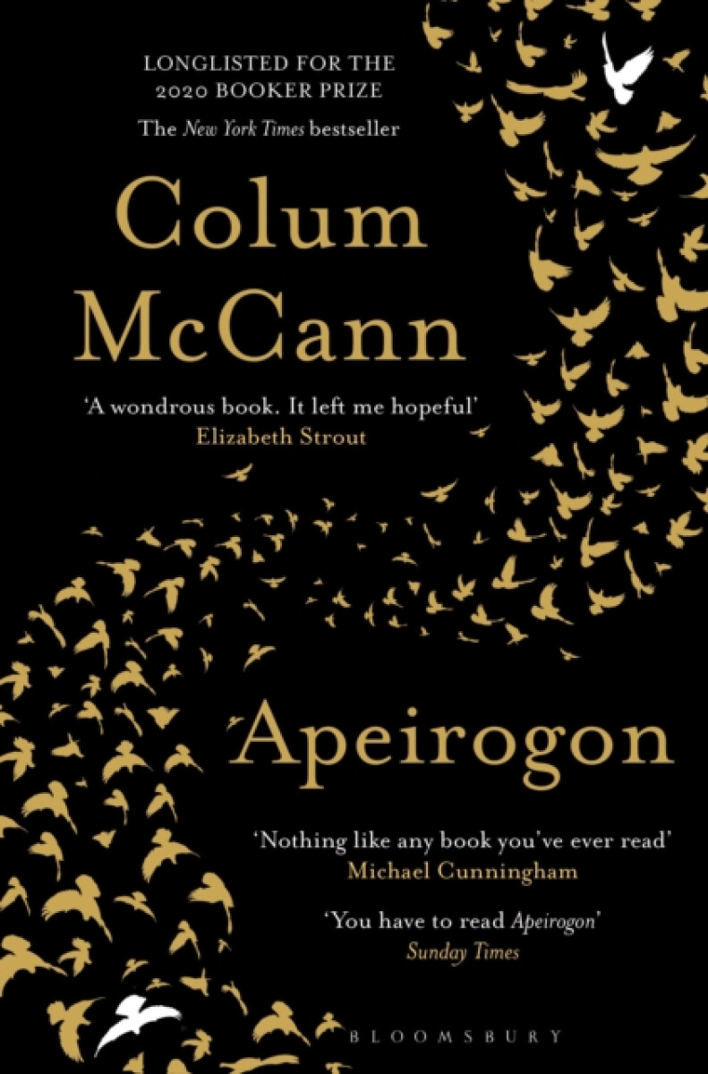 Apeirogon – Colum McCann