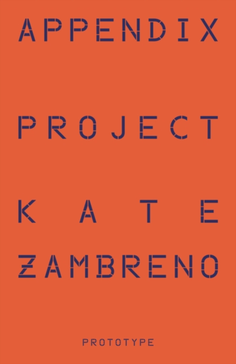 Kniha Appendix Project