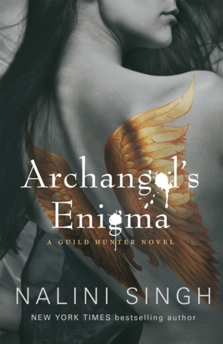 Kniha Archangel's Enigma