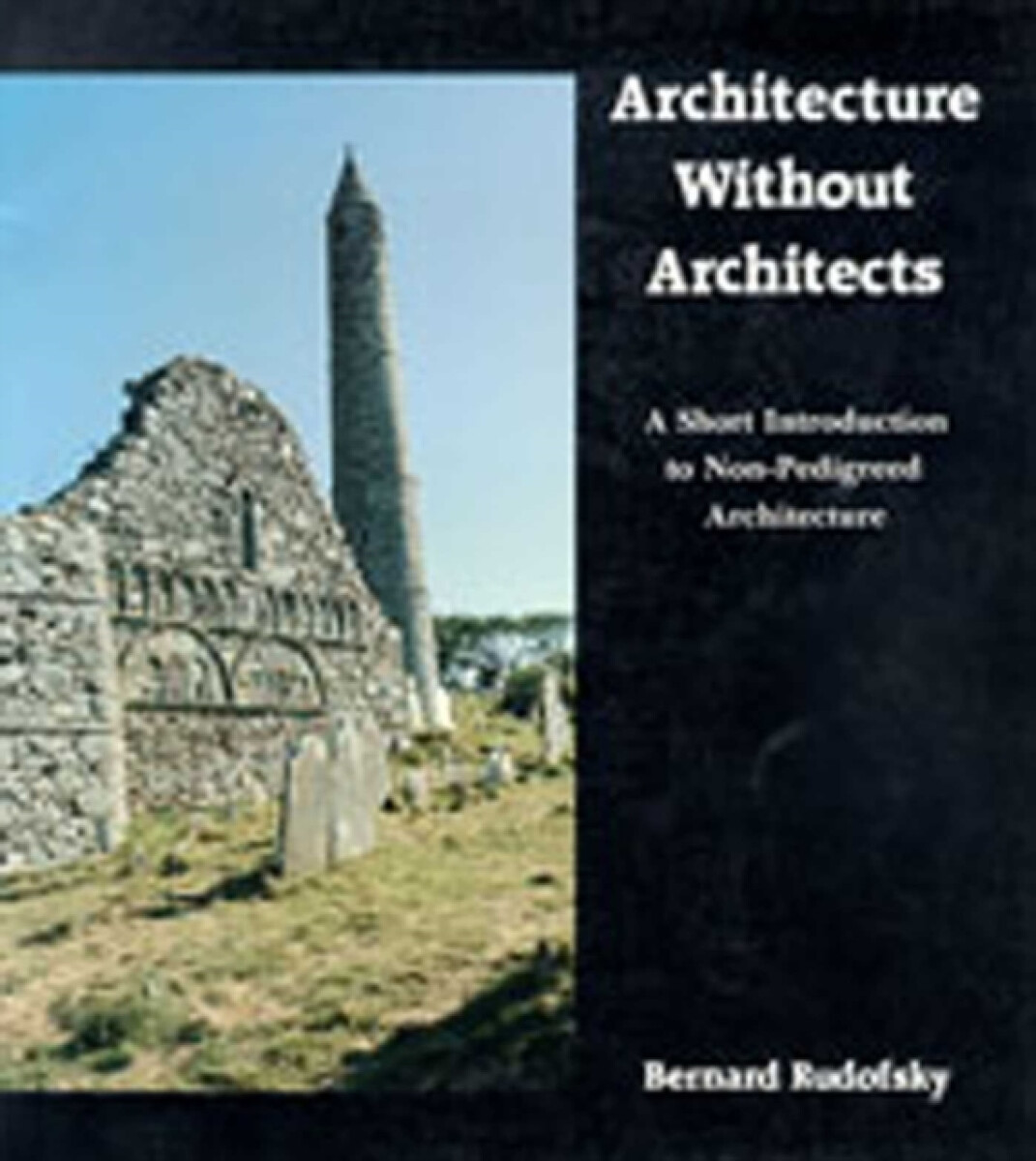 Kniha Architecture Without Architects